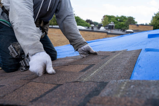 Best Affordable Roofing Company  in Marbleton, WY